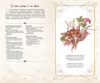 Тайный язык цветов, Джилл Дэвис Джилл Сондерс купить книгу в Либроруме