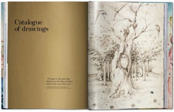 Hieronymus Bosch. The Complete Works, Fischer Stefan купить книгу в Либроруме
