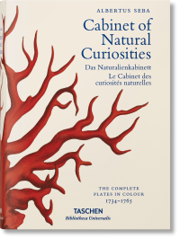 Cabinet of Natural Curiosities, Müsch Irmgard Rust Jes Willmann Rainer купить книгу в Либроруме