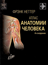 Атлас анатомии человека. 4-е издание, Неттер Френк купить книгу в Либроруме