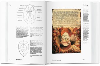 Alchemy & Mysticism, Roob Alexander купить книгу в Либроруме