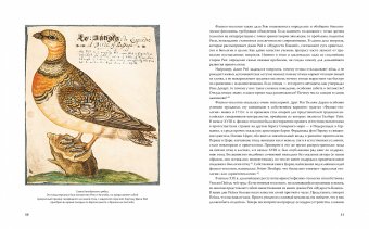 Иллюстрированная история орнитологии, Беркхед Тим купить книгу в Либроруме