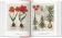 A Garden Eden. Masterpieces of Botanical Illustration. 40th Anniversary Edition, Lack H. Walter купить книгу в Либроруме