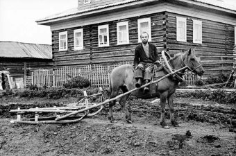 Ностальгия. Провинциальная Россия, Арсеньев Всеволод купить книгу в Либроруме Ностальгия. Провинциальная Россия, Арсеньев Всеволод купить книгу в Либроруме
