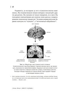 Мозг и душа. Как нервная деятельность формирует наш внутренний мир, Фрит Крис купить книгу в Либроруме