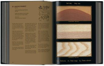 The Woodbook. The Complete Plates,  купить книгу в Либроруме