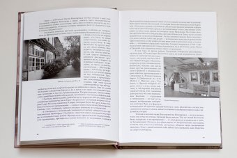 Мария Васильева. Чужая своя, Раев Ада купить книгу в Либроруме