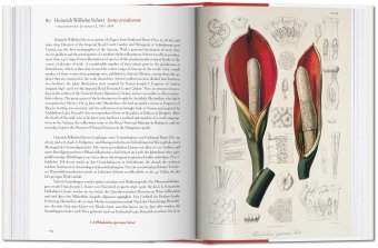 A Garden Eden. Masterpieces of Botanical Illustration, Lack H. Walter купить книгу в Либроруме