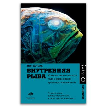 Внутренняя рыба. История человеческого тела с древнейших времен до наших дней, Шубин Нил купить книгу в Либроруме Внутренняя рыба. История человеческого тела с древнейших времен до наших дней, Шубин Нил купить книгу в Либроруме