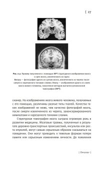 Мозг и душа. Как нервная деятельность формирует наш внутренний мир, Фрит Крис купить книгу в Либроруме