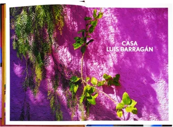 Living in Mexico. 40th Anniversary Edition, Stoeltie Barbara Stoeltie René купить книгу в Либроруме