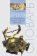 Время как объективно-субъективный феномен. Словарь, Хасанов И.А. купить книгу в Либроруме