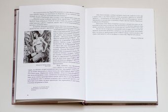 Мария Васильева. Чужая своя, Раев Ада купить книгу в Либроруме