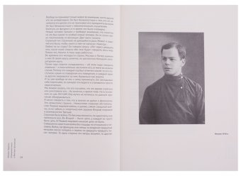 Отрицание книги о Викторе Шкловском. В пятнадцати остранениях с некоторыми уточнениями, изюмом из булки и финалом, Левитин Михаил Захарович купить книгу в Либроруме