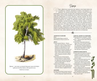 Тайный язык деревьев, Джилл Дэвис купить книгу в Либроруме