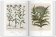 Florilegium. The Book of Plants - The Complete Plates, Littger Klaus Walter Dressendörfer Werner купить книгу в Либроруме