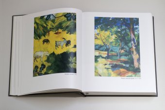 Наталия Гончарова, Луканова Алла Геннадьевна купить книгу в Либроруме