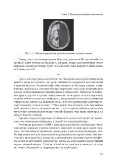Живой мозг. Удивительные факты о нейропластичности и возможностях мозга, Иглмен Дэвид купить книгу в Либроруме
