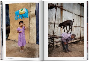 Steve McCurry. Animals,  купить книгу в Либроруме