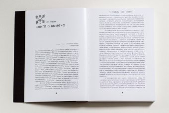 Хранитель. Алексей Ильич Комеч и судьбы русской архитектуры, Комеч Алексей Ильич купить книгу в Либроруме