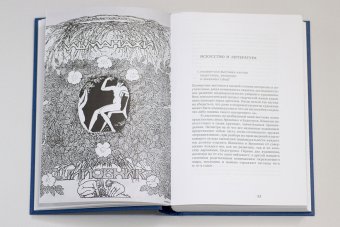Моя душа открыта. Комплект из двух книг, Бакст Лев Самойлович купить книгу в Либроруме