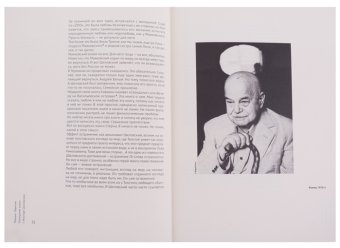 Отрицание книги о Викторе Шкловском. В пятнадцати остранениях с некоторыми уточнениями, изюмом из булки и финалом, Левитин Михаил Захарович купить книгу в Либроруме