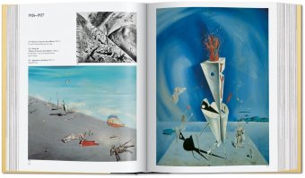Dali. The Paintings, Descharnes Robert Neret Gilles купить книгу в Либроруме