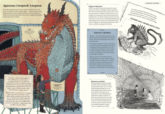 Драконы. Удивительные создания со всего света, Драконтис Куратория купить книгу в Либроруме