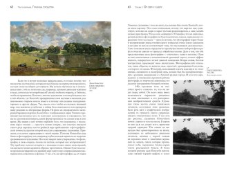 Искусство и иллюзия. Исследование психологии изображения, Гомбрих Эрнст купить книгу в Либроруме