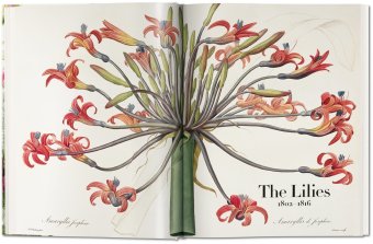 Redoute. The Book of Flowers, Lack H. Walter купить книгу в Либроруме