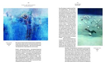 Синий - цвет жизни и смерти. Метафизика цвета-2, Балека Ян купить книгу в Либроруме