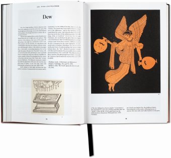 The Book of Symbols. Reflections on Archetypal Images, Юнг Карл Густав Jung Carl Gustav купить книгу в Либроруме